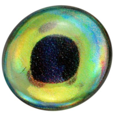 Sybai 3D Epoxy Fish Eye Dorado