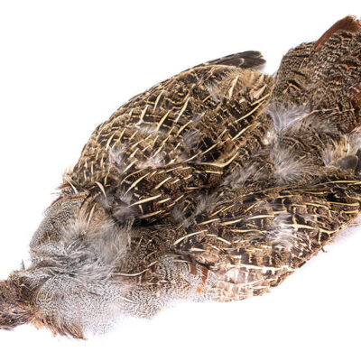 Grey Partridge Complete Skin Grd 2