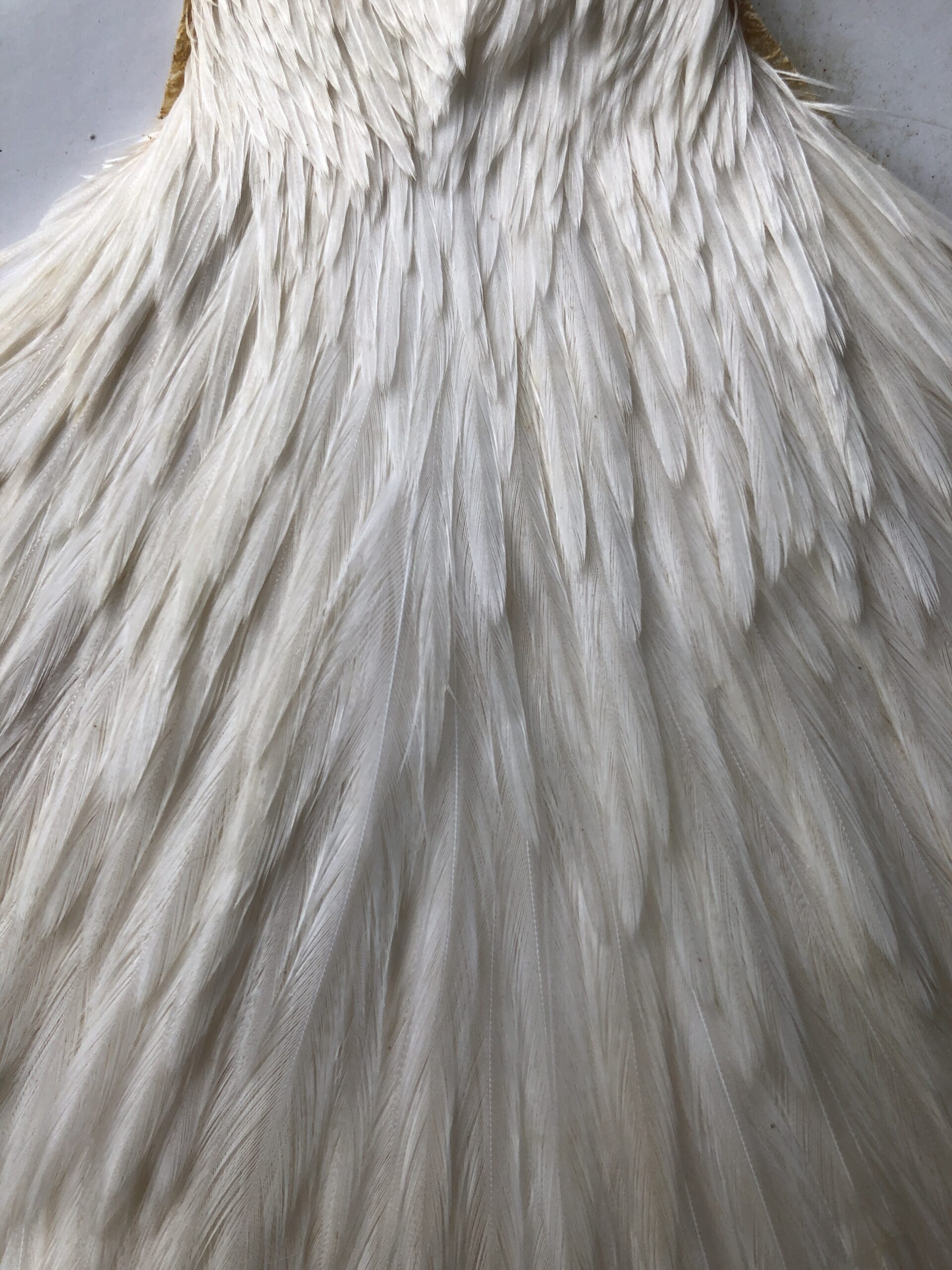 Metz Magnum Cape - Cream - Image 2