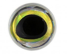 3D Epoxy Eyes