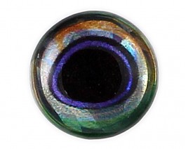 Ultra 3D Epoxy Eyes