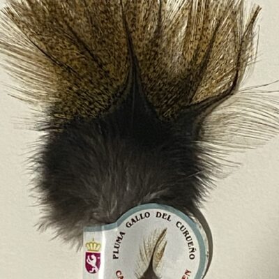 Gallo de Leon – Flor de Escoba (Med)