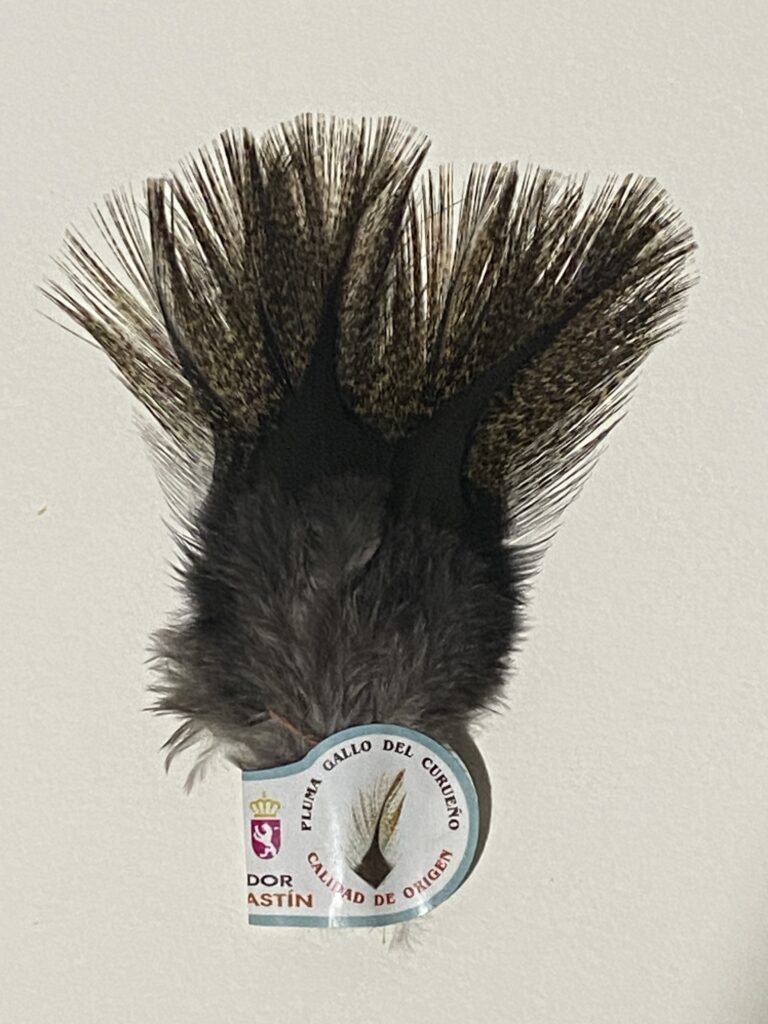 Coq de León Corzuno Oscuro (Med)