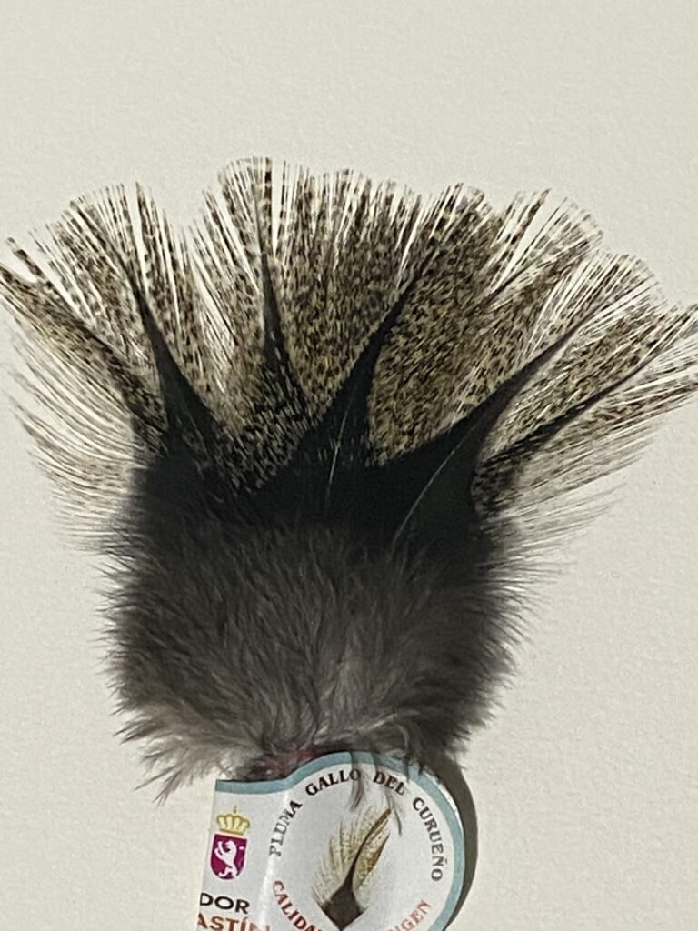 Coq de León Corzuno Oscuro